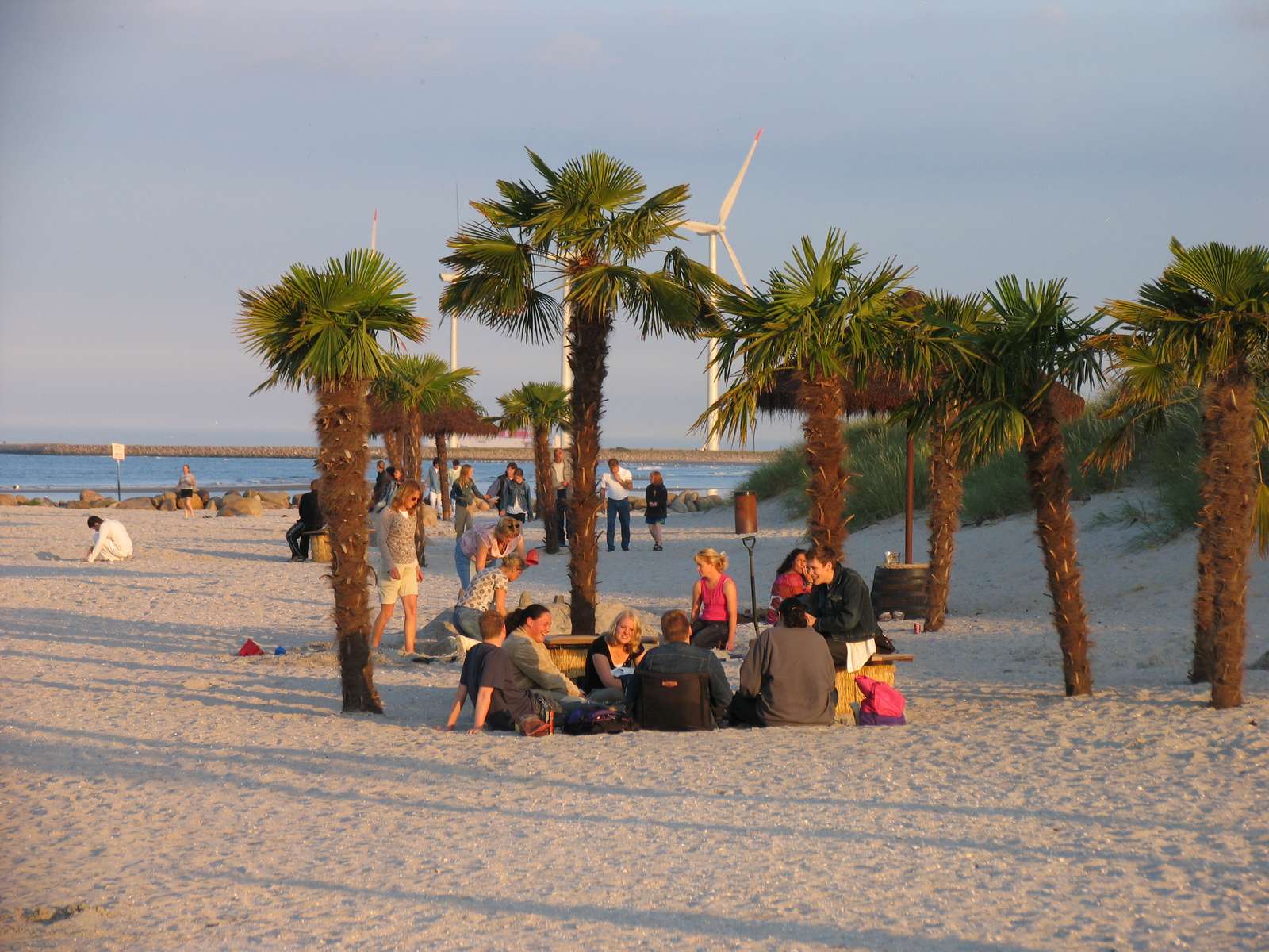 Unge er samlet på Palmestranden en sommeraften
