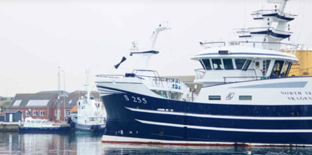 Fiskekutter i havn